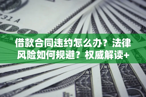 武汉借款合同违约怎么办？法律风险如何规避？权威解读+实用指南