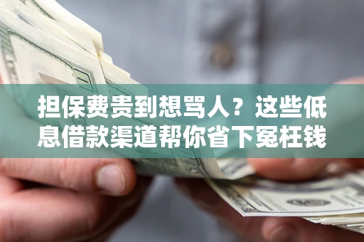 武汉担保费贵到想骂人？这些低息借款渠道帮你省下冤枉钱