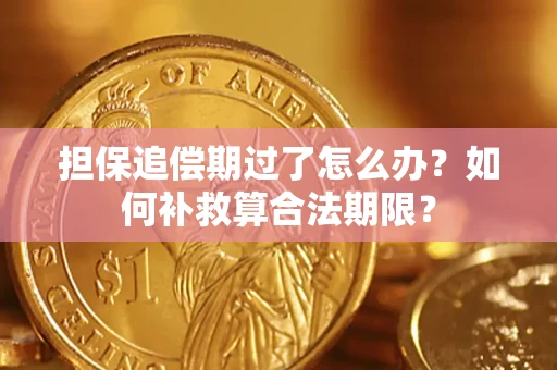 武汉担保追偿期过了怎么办？如何补救算合法期限？