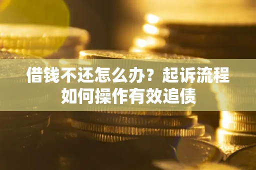 武汉借钱不还怎么办？起诉流程如何操作有效追债