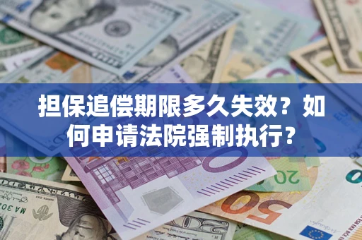 武汉担保追偿期限多久失效？如何申请法院强制执行？
