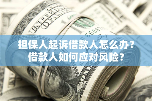 武汉担保人起诉借款人怎么办？借款人如何应对风险？