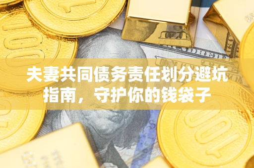 武汉夫妻共同债务责任划分避坑指南，守护你的钱袋子