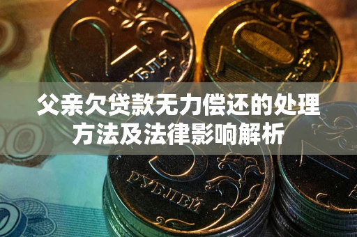 武汉父亲欠贷款无力偿还的处理方法及法律影响解析